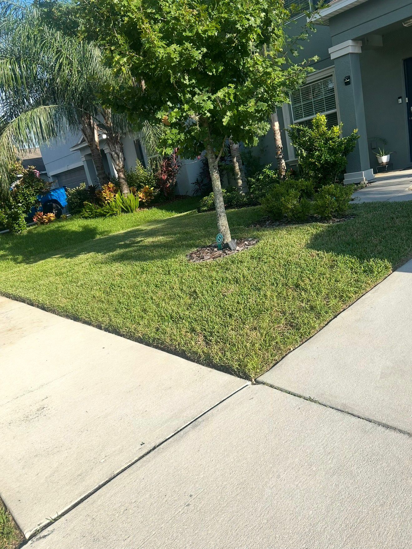 Lawn care results